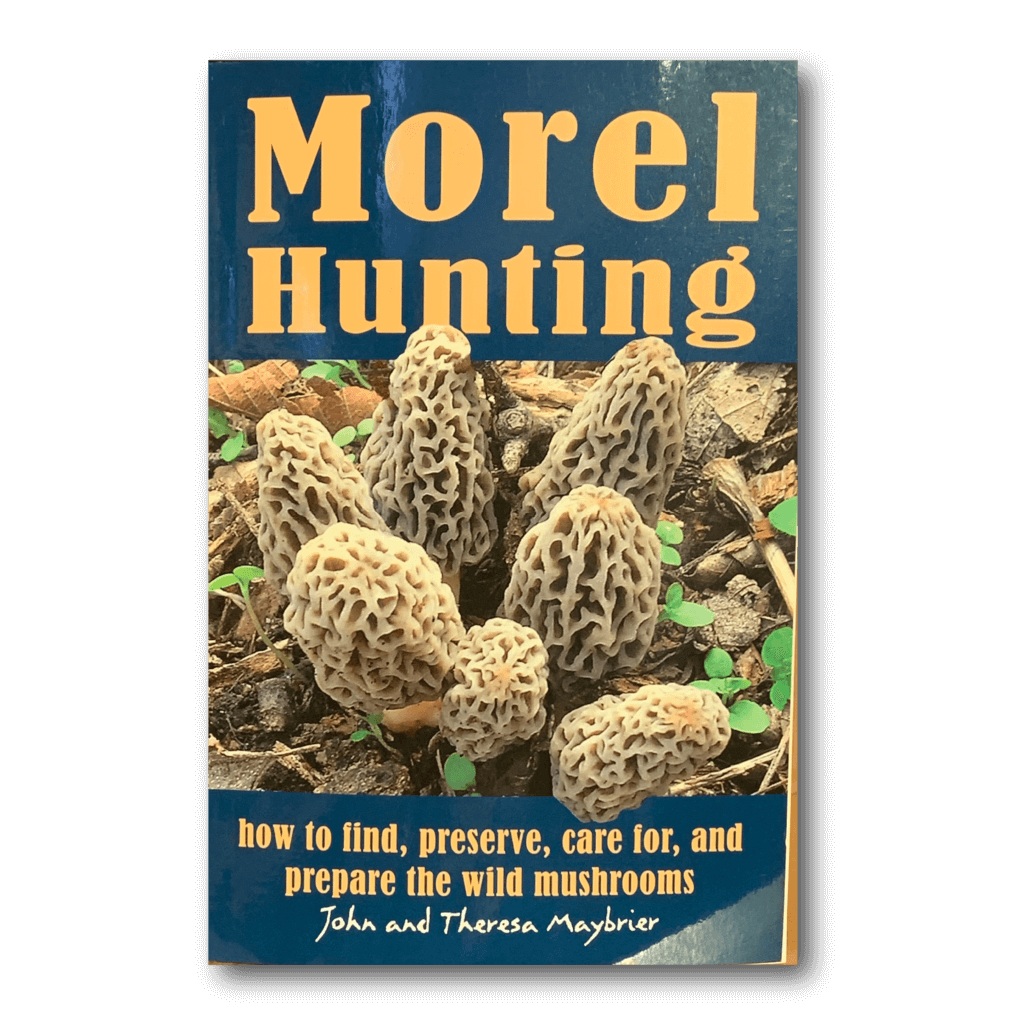 Morels in Michigan Hiawatha Interpretive Association